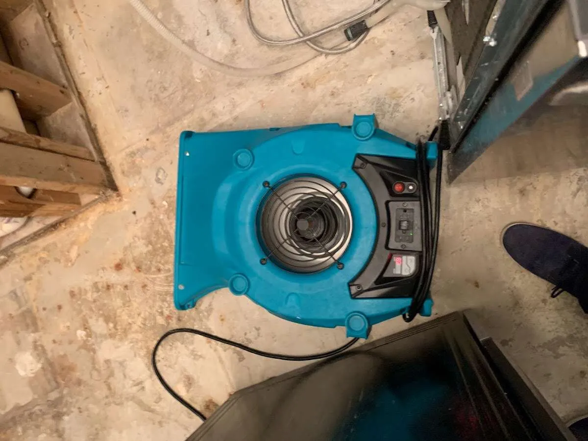 Air mover drying equipment for Mold Remediation & Removal in Kentfield